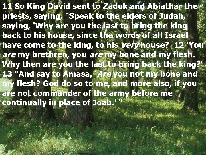 11 So King David sent to Zadok and Abiathar the priests, saying, "Speak to