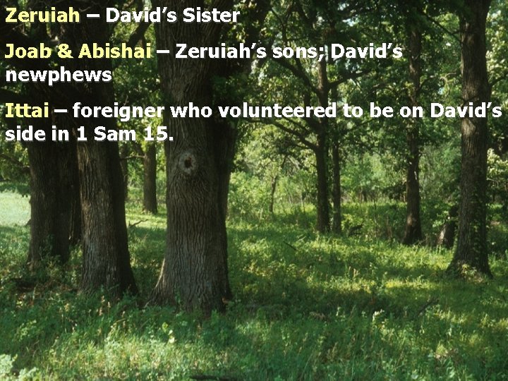 Zeruiah – David’s Sister Joab & Abishai – Zeruiah’s sons; David’s newphews Ittai –