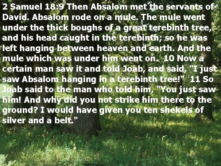 2 Samuel 18: 9 Then Absalom met the servants of David. Absalom rode on