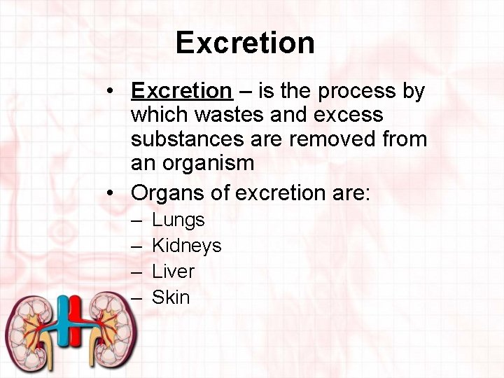 Excretion • Excretion – is the process by which wastes and excess substances are