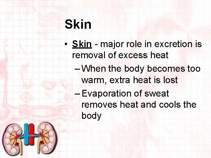 Skin • Skin - major role in excretion is removal of excess heat –