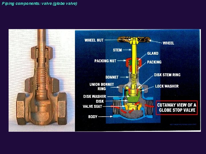 Piping components: valve (globe valve) 