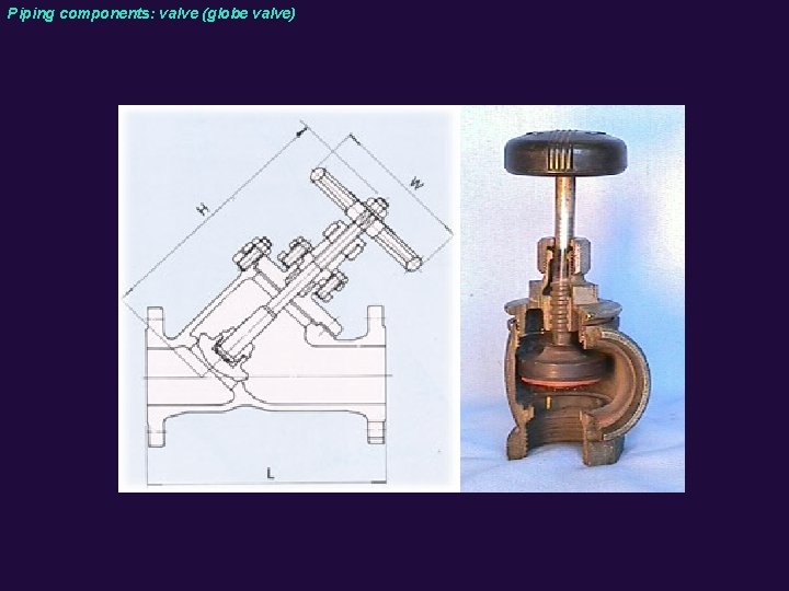 Piping components: valve (globe valve) 