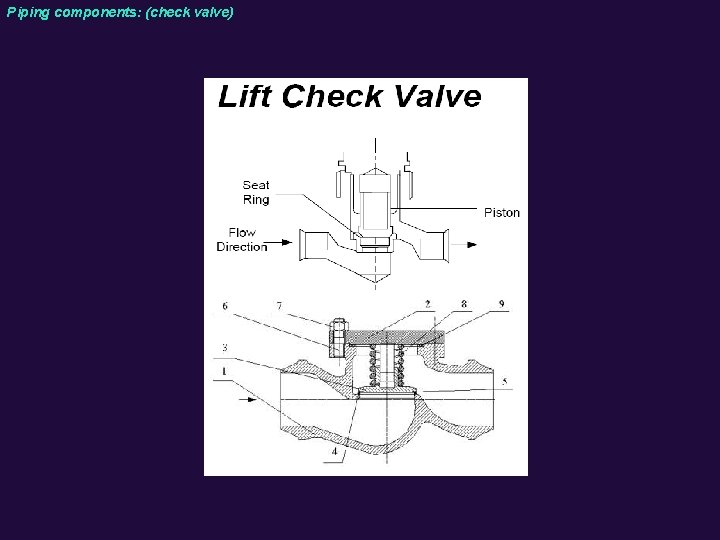 Piping components: (check valve) 
