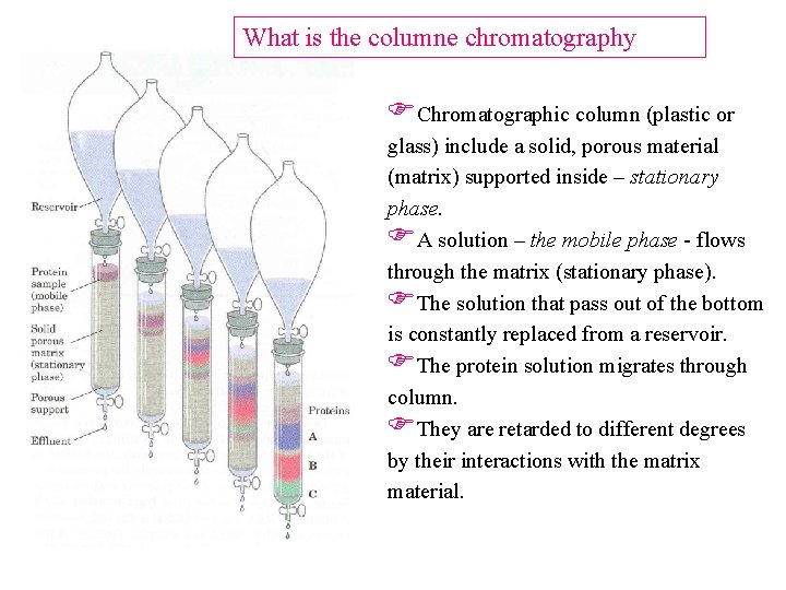 What is the columne chromatography FChromatographic column (plastic or glass) include a solid, porous