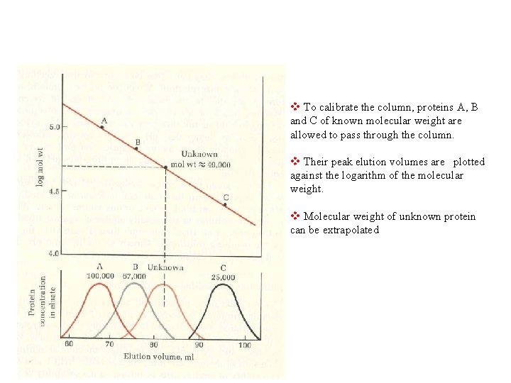 v To calibrate the column, proteins A, B and C of known molecular weight
