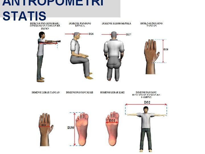ANTROPOMETRI STATIS 