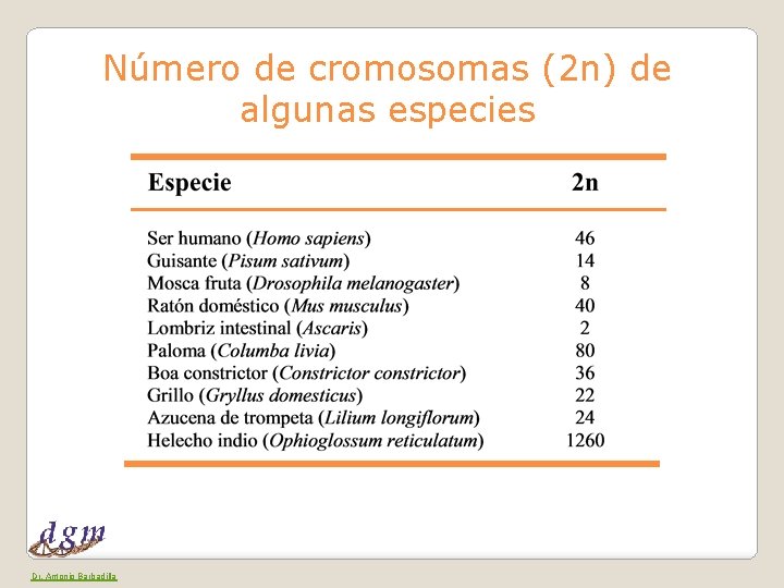 Número de cromosomas (2 n) de algunas especies Dr. Antonio Barbadilla 