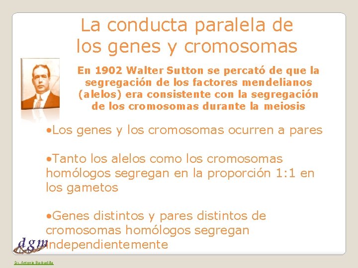 La conducta paralela de los genes y cromosomas En 1902 Walter Sutton se percató