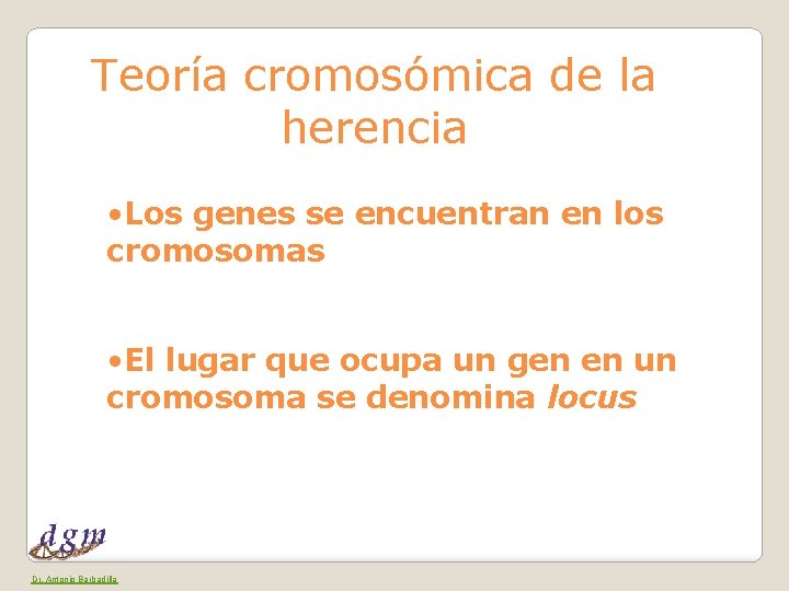 Teoría cromosómica de la herencia • Los genes se encuentran en los cromosomas •