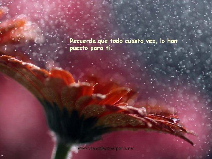 Recuerda que todo cuanto ves, lo han puesto para ti. www. vitanoblepowerpoints. net 