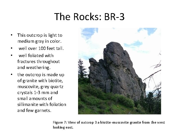 The Rocks: BR-3 • This outcrop is light to medium gray in color. •