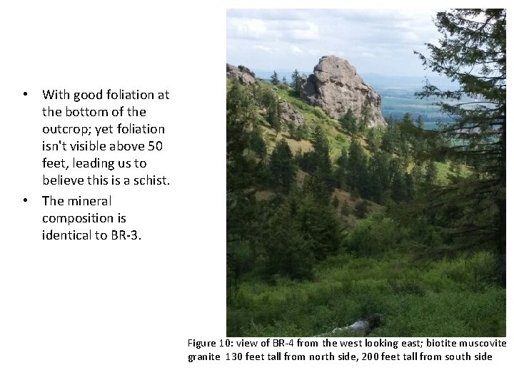  • With good foliation at the bottom of the outcrop; yet foliation isn't