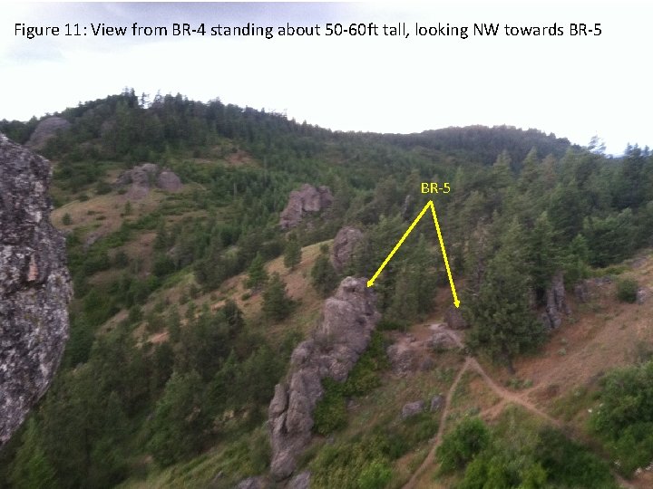 Figure 11: View from BR-4 standing about 50 -60 ft tall, looking NW towards