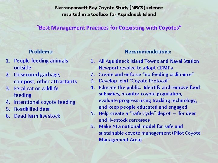 Narrangansett Bay Coyote Study (NBCS) science resulted in a toolbox for Aquidneck Island “Best