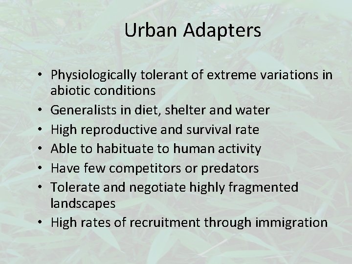 Urban Adapters • Physiologically tolerant of extreme variations in abiotic conditions • Generalists in