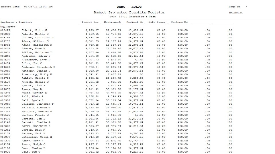 Print Budget Report 