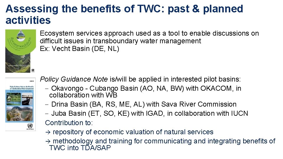 Assessing the benefits of TWC: past & planned activities Ecosystem services approach used as
