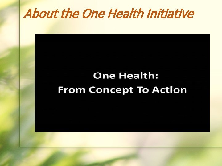 About the One Health Initiative 
