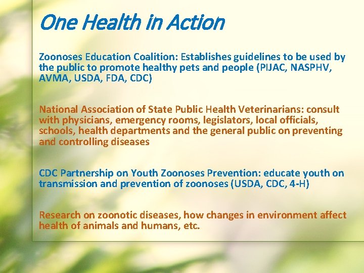 One Health in Action Zoonoses Education Coalition: Establishes guidelines to be used by the