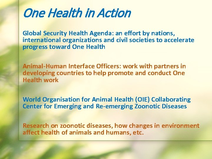 One Health in Action Global Security Health Agenda: an effort by nations, international organizations
