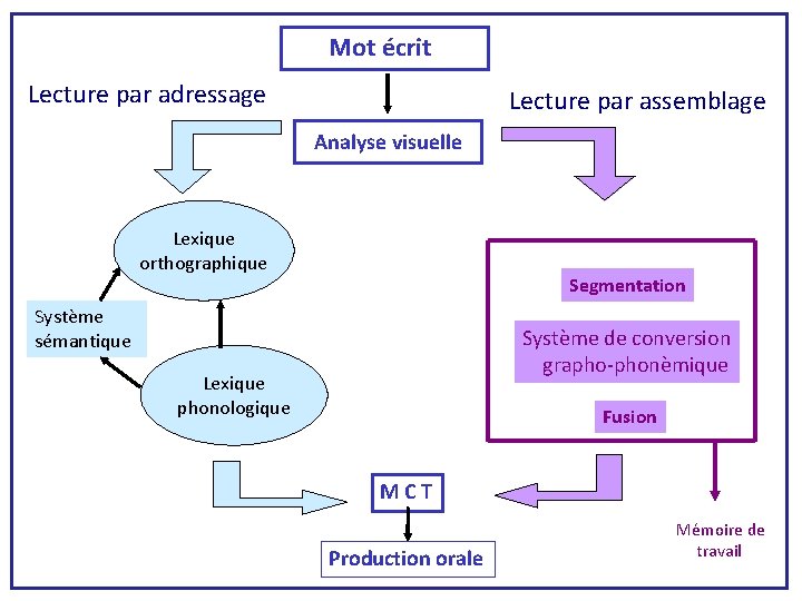  Mot écrit Lecture par adressage Lecture par assemblage Analyse visuelle Lexique orthographique Segmentation