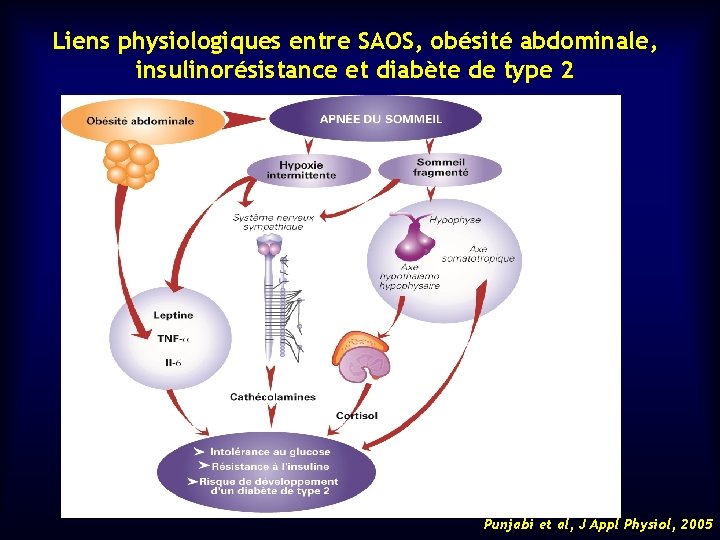 Liens physiologiques entre SAOS, obésité abdominale, insulinorésistance et diabète de type 2 Punjabi et