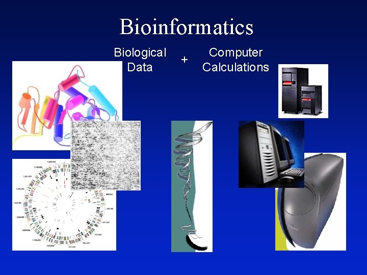 Bioinformatics Biological Data + Computer Calculations 