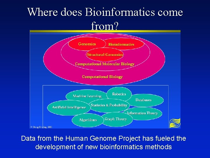 Where does Bioinformatics come from? Data from the Human Genome Project has fueled the