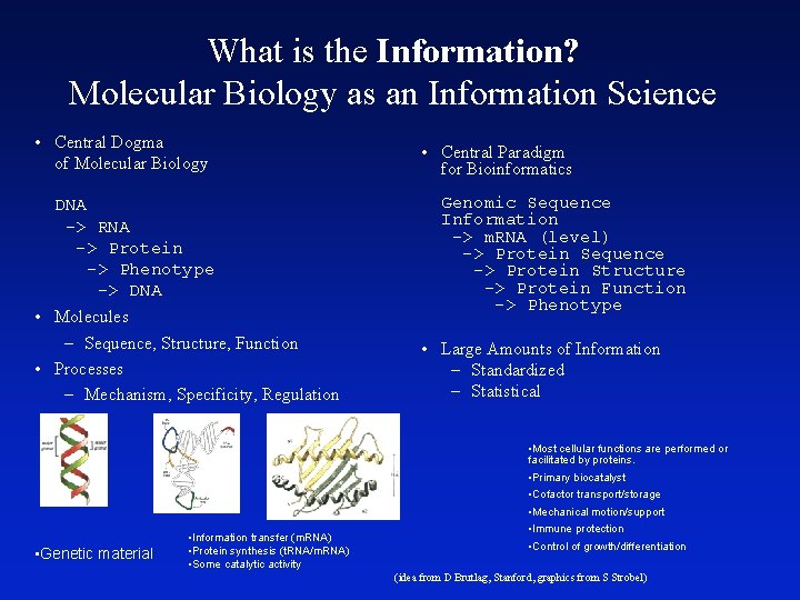 What is the Information? Molecular Biology as an Information Science • Central Dogma of