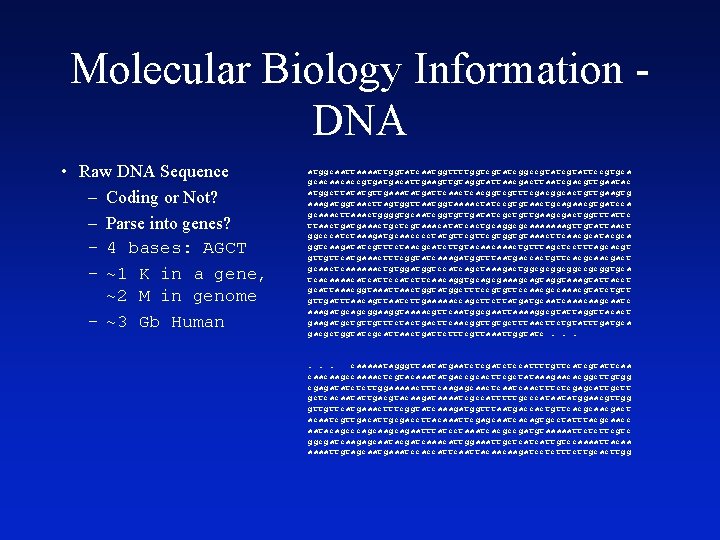 Molecular Biology Information DNA • Raw DNA Sequence – Coding or Not? – Parse