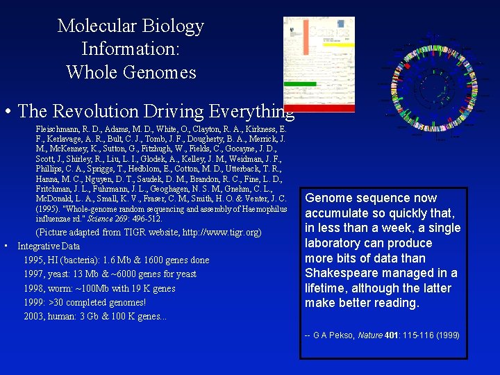 Molecular Biology Information: Whole Genomes • The Revolution Driving Everything Fleischmann, R. D. ,
