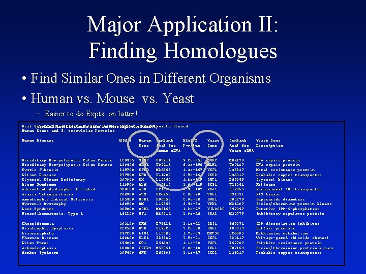 Major Application II: Finding Homologues • Find Similar Ones in Different Organisms • Human