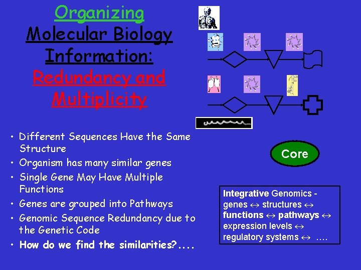 Organizing Molecular Biology Information: Redundancy and Multiplicity • Different Sequences Have the Same Structure