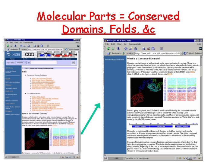 Molecular Parts = Conserved Domains, Folds, &c 