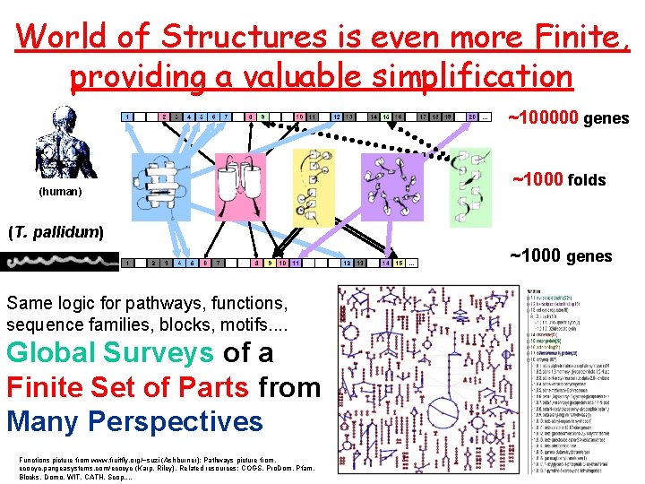 World of Structures is even more Finite, providing a valuable simplification ~100000 genes (human)