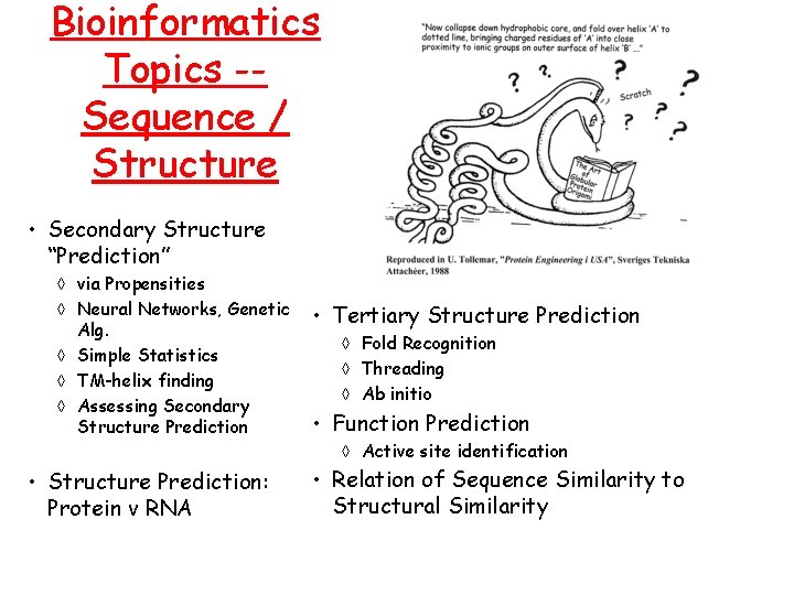 Bioinformatics Topics -Sequence / Structure • Secondary Structure “Prediction” à via Propensities à Neural