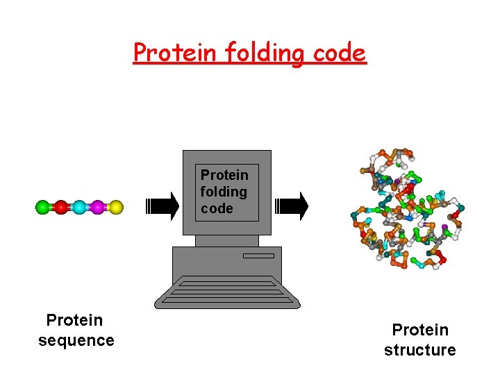 Protein folding code Protein sequence Protein structure 