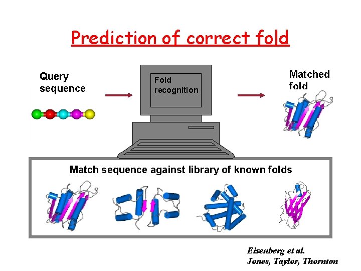 Prediction of correct fold Query sequence Fold recognition Matched fold Match sequence against library