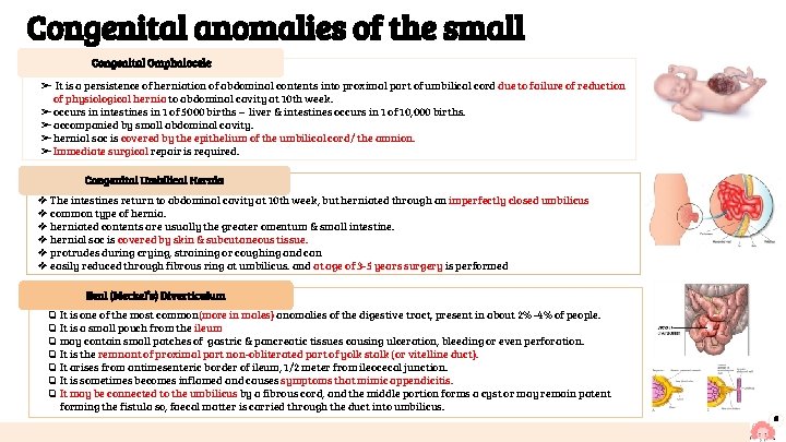 Congenital anomalies of the small intestine Congenital Omphalocele ➢ It is a persistence of