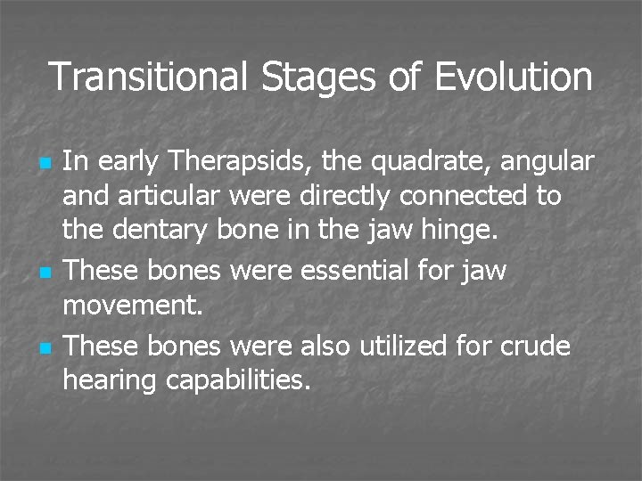 Transitional Stages of Evolution n In early Therapsids, the quadrate, angular and articular were