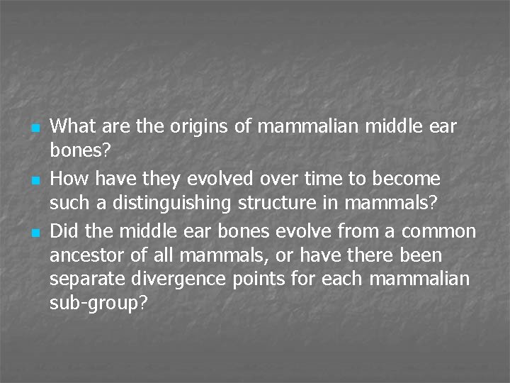 n n n What are the origins of mammalian middle ear bones? How have