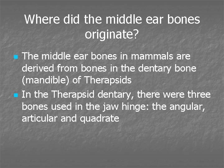 Where did the middle ear bones originate? n n The middle ear bones in
