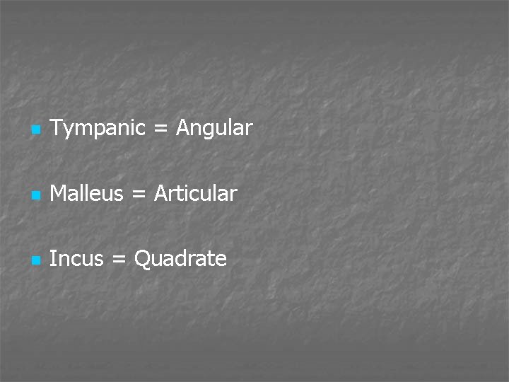 n Tympanic = Angular n Malleus = Articular n Incus = Quadrate 