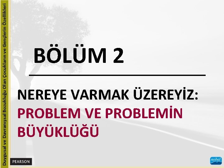 BÖLÜM 2 NEREYE VARMAK ÜZEREYİZ: PROBLEM VE PROBLEMİN BÜYÜKLÜĞÜ 