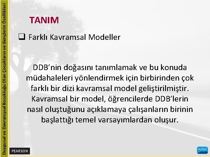 TANIM q Farklı Kavramsal Modeller DDB’nin doğasını tanımlamak ve bu konuda müdahaleleri yönlendirmek için