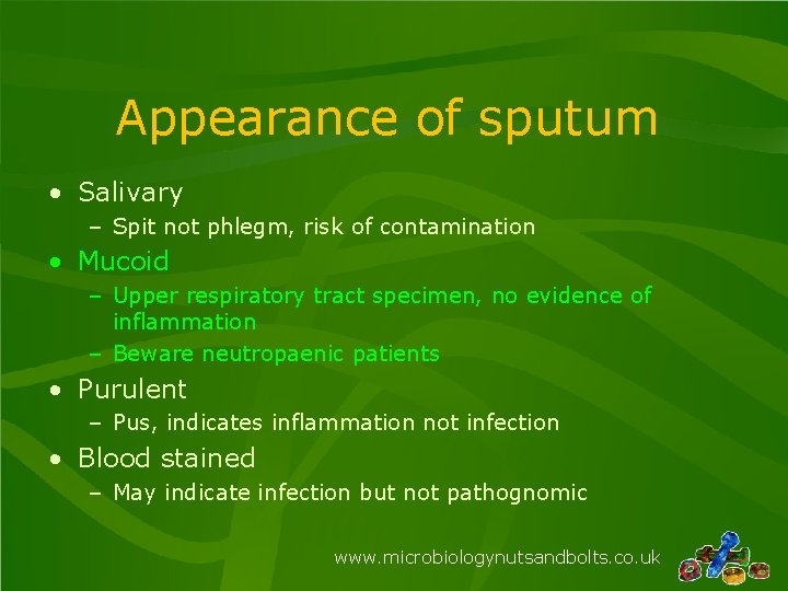 Appearance of sputum • Salivary – Spit not phlegm, risk of contamination • Mucoid