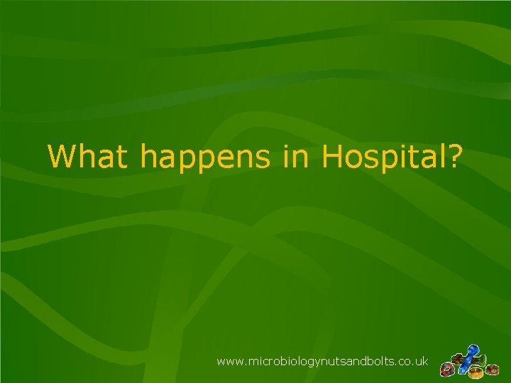 What happens in Hospital? www. microbiologynutsandbolts. co. uk 