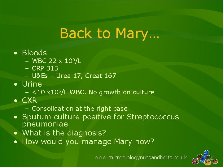 Back to Mary… • Bloods – WBC 22 x 109/L – CRP 313 –