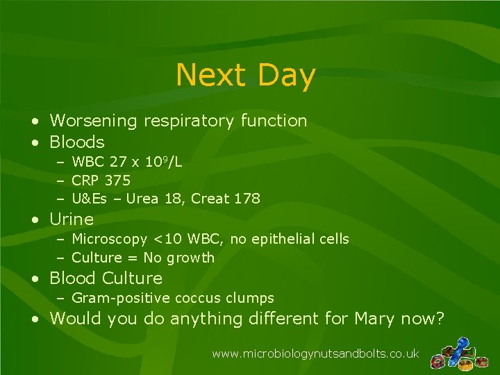 Next Day • Worsening respiratory function • Bloods – WBC 27 x 109/L –